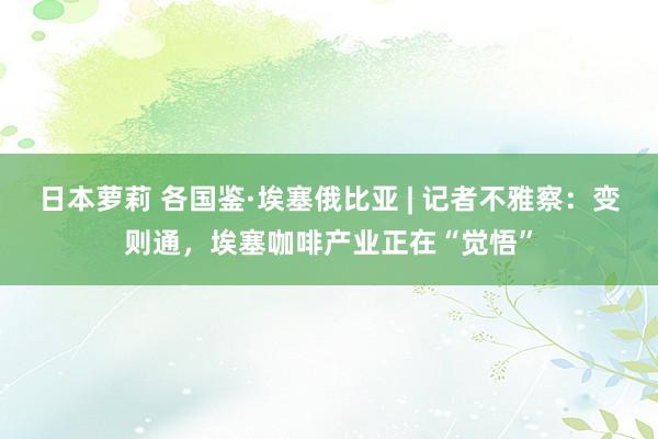 日本萝莉 各国鉴·埃塞俄比亚 | 记者不雅察：变则通，埃塞咖啡产业正在“觉悟”