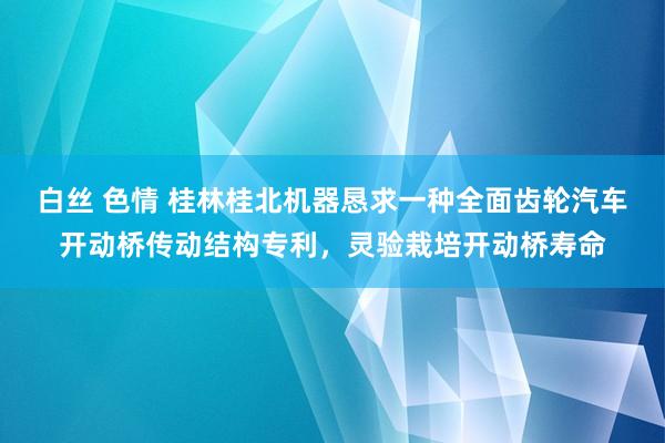 白丝 色情 桂林桂北机器恳求一种全面齿轮汽车开动桥传动结构专利，灵验栽培开动桥寿命