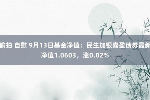 偷拍 自慰 9月13日基金净值：民生加银嘉盈债券最新净值1.0603，涨0.02%