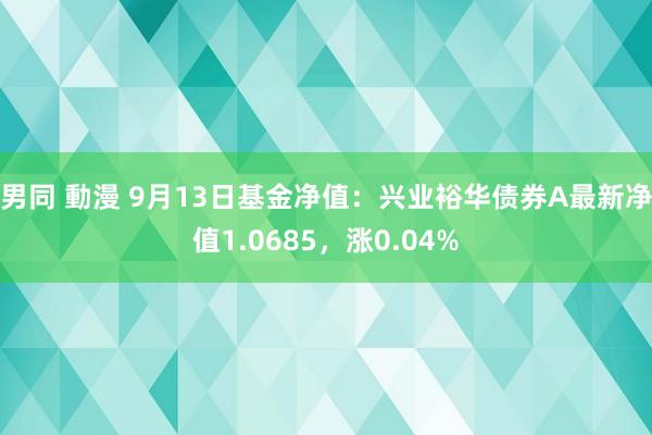 男同 動漫 9月13日基金净值：兴业裕华债券A最新净值1.0685，涨0.04%