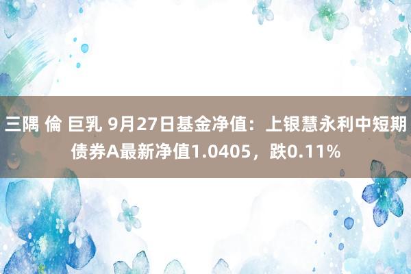 三隅 倫 巨乳 9月27日基金净值：上银慧永利中短期债券A最新净值1.0405，跌0.11%