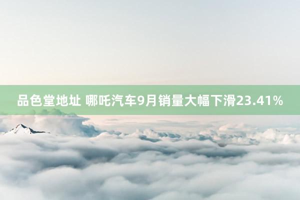 品色堂地址 哪吒汽车9月销量大幅下滑23.41%