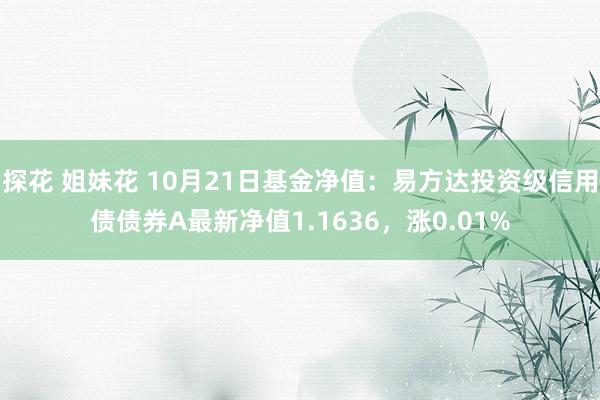 探花 姐妹花 10月21日基金净值：易方达投资级信用债债券A最新净值1.1636，涨0.01%